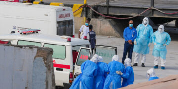 OMS confirma brote de hantavirus con transmisión limitada entre humanos en crucero neerlandés