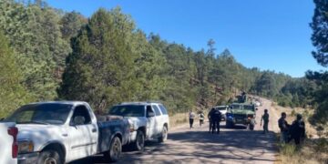 Ataque armado a convoy de desplazados de Durango en Guadalupe y Calvo