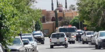 Muere hombre electrocutado al podar palmera en fraccionamiento Campestre de Ciudad Juárez