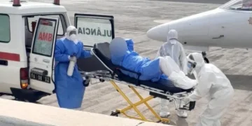 Detectan cepa andina de hantavirus en crucero tras brote mortal en el Atlántico