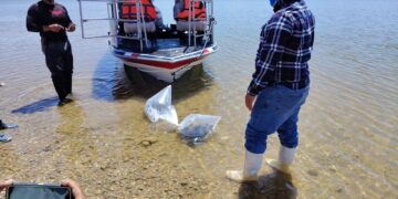 SDR repuebla embalses de Chihuahua con más de 800 mil alevines de tilapia