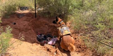 Localizan dos osamentas en lote baldío de Senderos de San Isidro