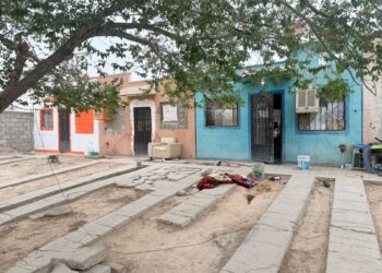 Avanza proceso penal contra imputado por la muerte de un perro french poodle en Ciudad Juárez