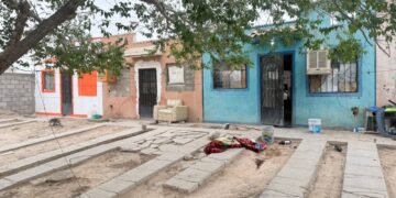Avanza proceso penal contra imputado por la muerte de un perro french poodle en Ciudad Juárez