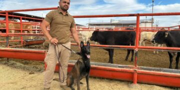 Capacitan a veterinarios y binomios caninos para detectar Gusano Barrenador en Chihuahua