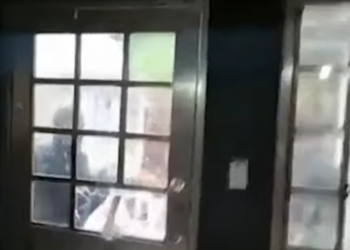 Secuestran a la periodista Roxana Berenice Guzmán en la región sur de Veracruz