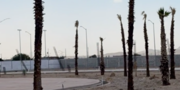 El mega parque Suroriente es una farsa de banquetas y palmeras secas