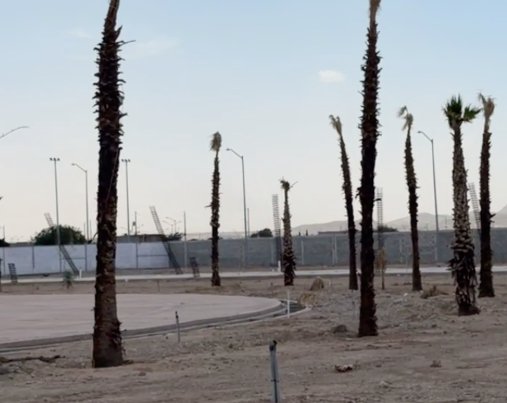 El mega parque Suroriente es una farsa de banquetas y palmeras secas