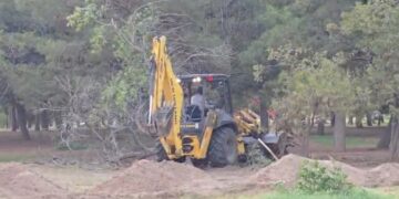 Retiran árboles verdes con maquinaria pesada en El Chamizal y desatan denuncias ciudadanas