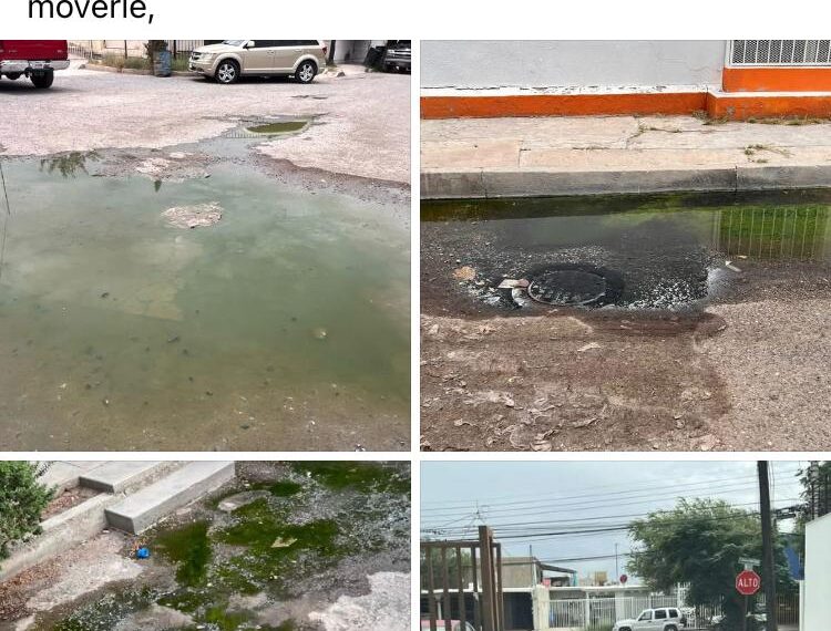 Vecinos de Pradera Dorada exigen solución definitiva a brotes de aguas negras tras siete meses de ignorarlos