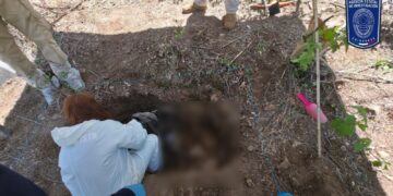 Localizan dos osamentas durante rastreo en Moris