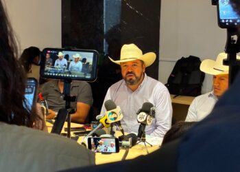 Confirmado: detectan gusano barrenador en Chihuahua