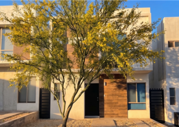 IMPLAN presenta guía de árboles nativos para la ciudad de Chihuahua