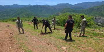 Inhabilitan pista de aterrizaje clandestina en Guadalupe y Calvo