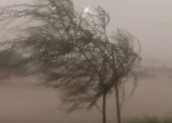 Alerta en Puerto Palomas por severas tormentas