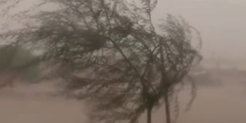 Alerta en Puerto Palomas por severas tormentas