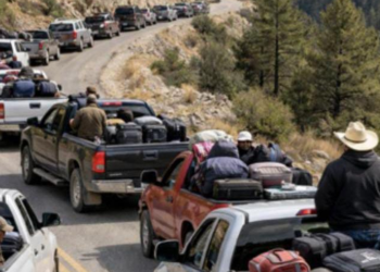 Pide Chihuahua a la Federación reforzar la seguridad ante el desplazamiento forzado en Guadalupe y Calvo
