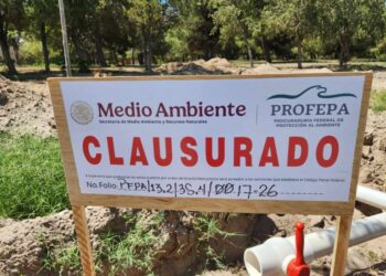Frenan obras en El Chamizal por orden de un juez federal tras amparo ambientalista