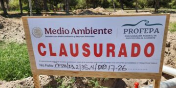 Frenan obras en El Chamizal por orden de un juez federal tras amparo ambientalista