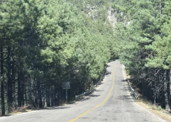 Identifican a pastor cristiano y a su padre encontrados camino a Guadalupe y Calvo
