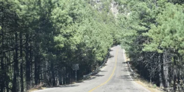 Identifican a pastor cristiano y a su padre encontrados camino a Guadalupe y Calvo