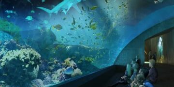 Inauguran el primer acuario de Chihuahua en Guachochi