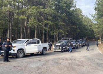 Jornada violenta sacude la Sierra Tarahumara con diez homicidios en tres municipios
