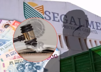 Van por empresarios del caso Segalmex