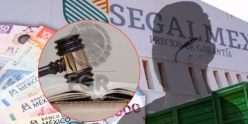 Van por empresarios del caso Segalmex
