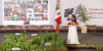Participará Chihuahua en la Jornada Nacional de Reforestación 2026 con acciones en Bocoyna