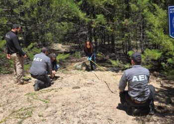 Localizan osamenta completa en rastreo en la ruta entre Bahuichivo y El Churo en el municipio de Urique