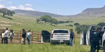 Operativo federal asegura rancho con animales exóticos en Balleza