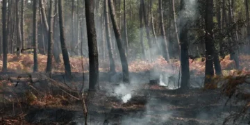 Declara Francia alerta roja por incendios forestales en tres departamentos del sureste ante ola de calor extrema
