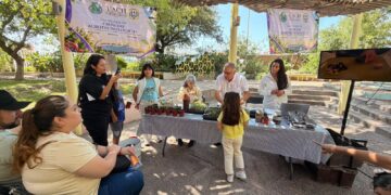 Inicia programa «Sábados de Ciencia» en el Museo Semilla