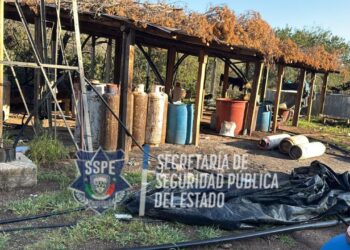 Desmantelan narcolaboratorio en la sierra de Parral