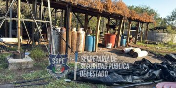 Desmantelan narcolaboratorio en la sierra de Parral