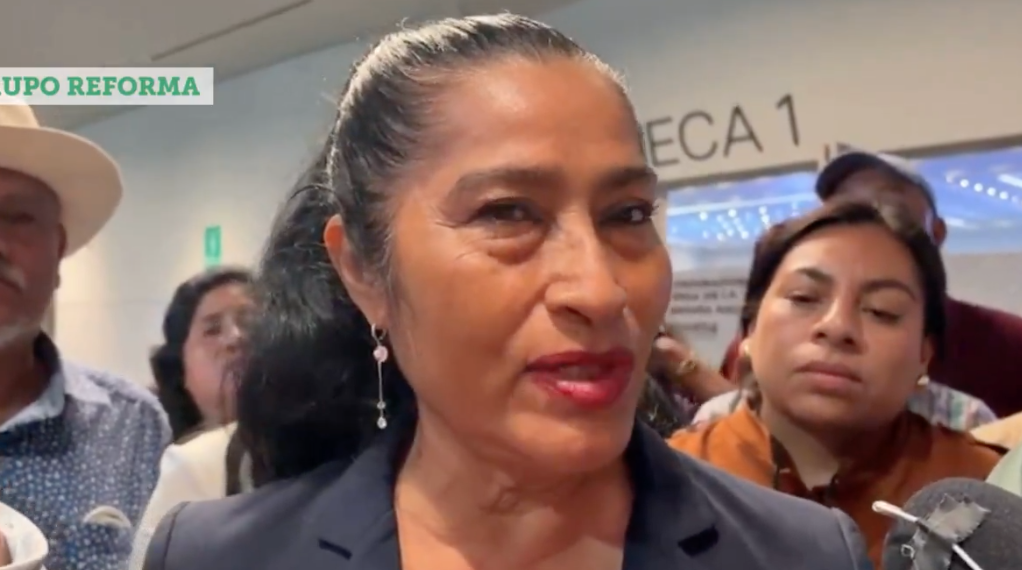 Crónica de una fractura anunciada de Morena en Guerrero
