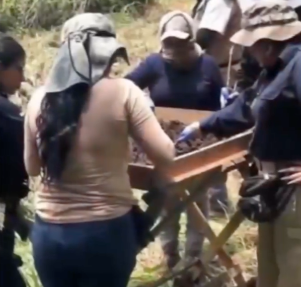 Denuncian madres buscadoras hallazgo de 1,600 dientes de leche en fosa clandestina de Michoacán