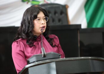 Exhibe Jael Argüelles excesos en reforma electoral y asegura que la Corte corrigió la plana al Congreso