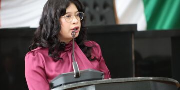 Exhibe Jael Argüelles excesos en reforma electoral y asegura que la Corte corrigió la plana al Congreso