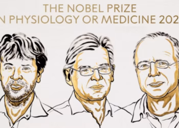 Premio Nobel de Fisiología o Medicina 2026 a pioneros de la optogenética por revolucionar el estudio y control de las células cerebrales
