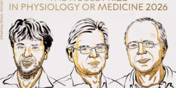 Premio Nobel de Fisiología o Medicina 2026 a pioneros de la optogenética por revolucionar el estudio y control de las células cerebrales
